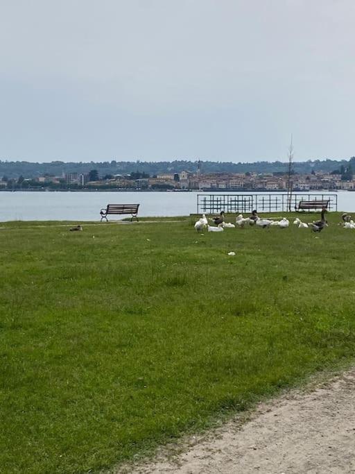 Apartmán La Casa Nel Borgo Angera Exteriér fotografie